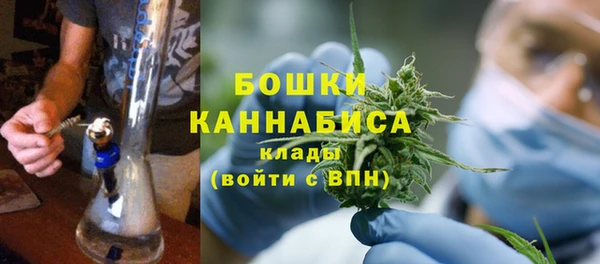 спайс Ладушкин