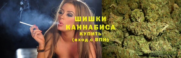 спайс Ладушкин