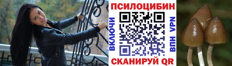 где можно купить   Павловская  mega ссылка  Псилоцибиновые грибы ЛСД 